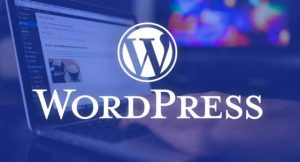 WordPress Kurulumu